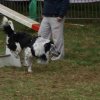 foire-haricots 2011-09-17et18